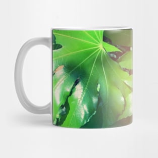 Summer Green Leafs Mug